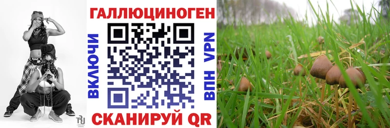 как найти наркотики  mega ссылка  Псилоцибиновые грибы MAGIC MUSHROOMS  Краснослободск 